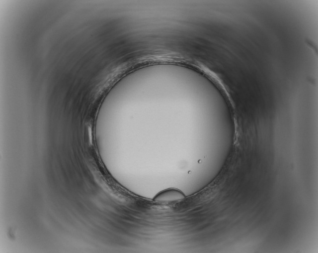 X0000099950061200805231012