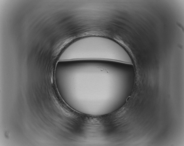 X0000099950062200805231012