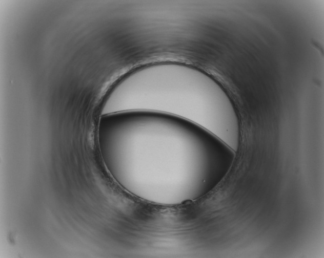 X0000099950064200805231012