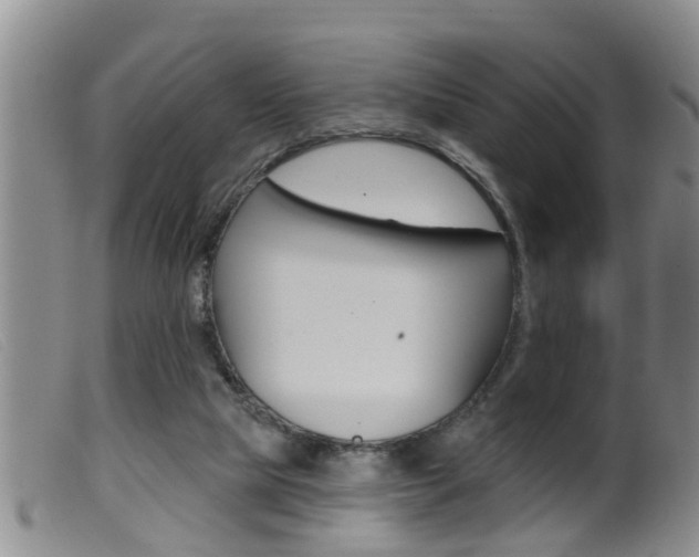 X0000099950065200805231012