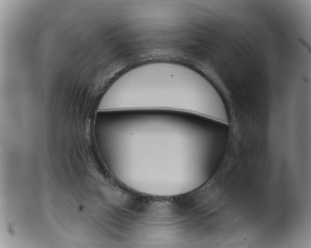 X0000099950066200805231012