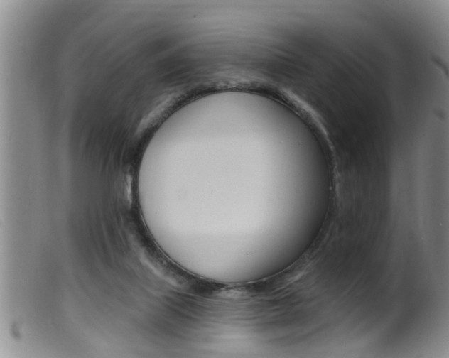 X0000099950067200805231012