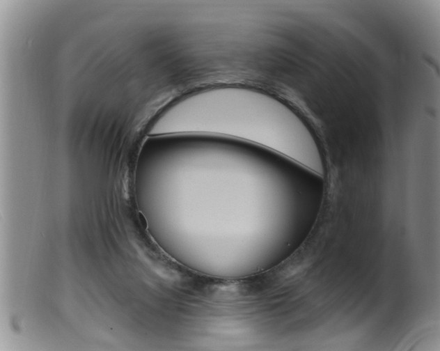 X0000099950068200805231012
