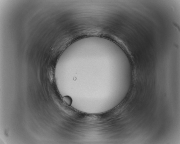 X0000099950069200805231012