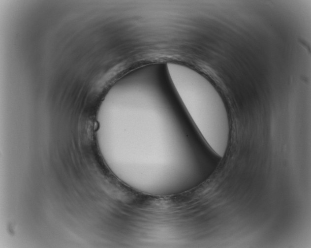 X0000099950071200805231012