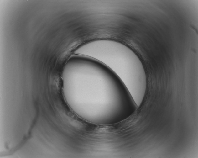 X0000099950072200805231012