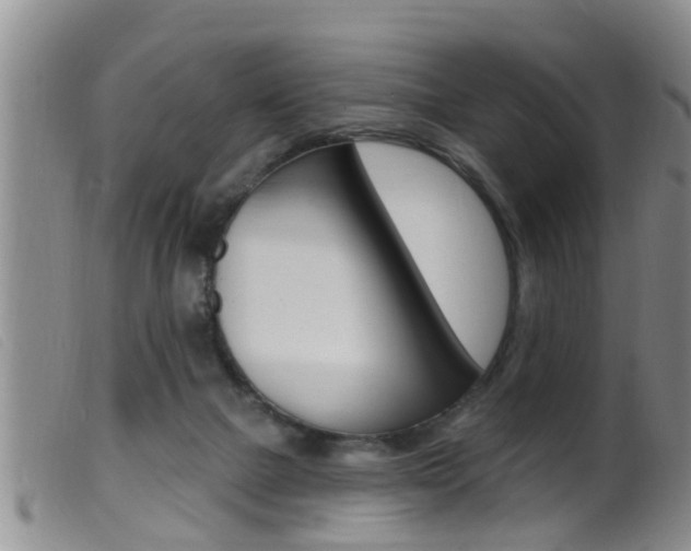 X0000099950073200805231012