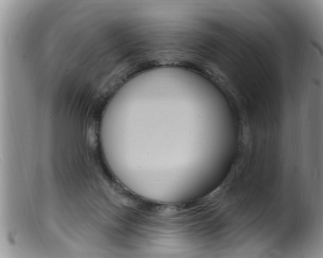 X0000099950074200805231012