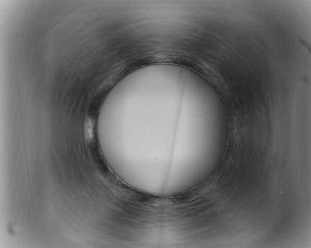 X0000099950075200805231012