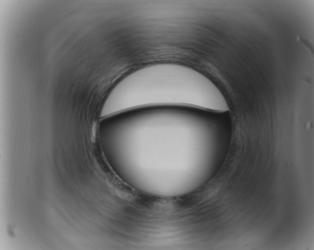 X0000099950076200805231012