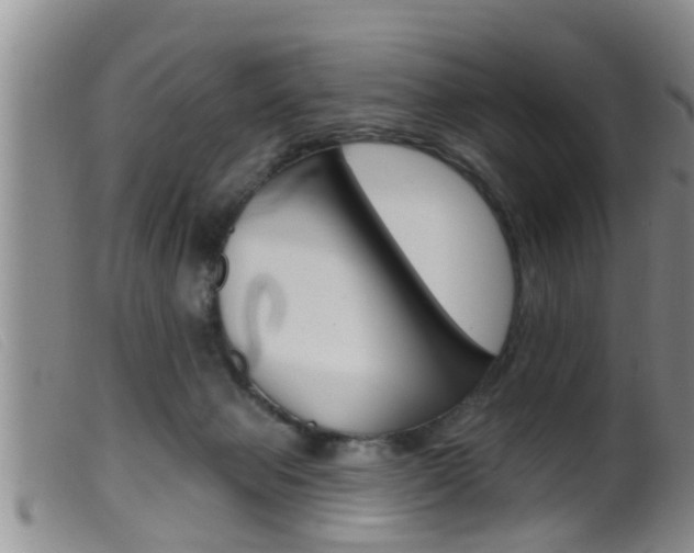 X0000099950077200805231012