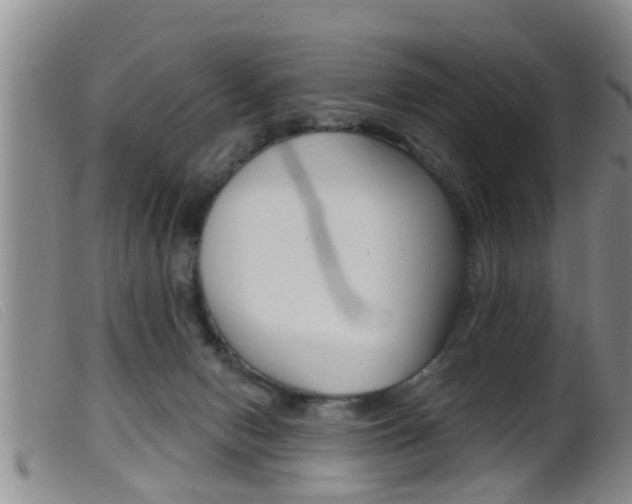 X0000099950078200805231012