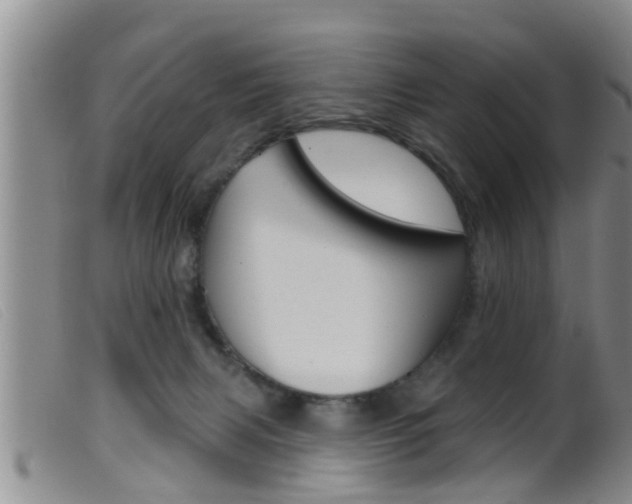 X0000099950079200805231012