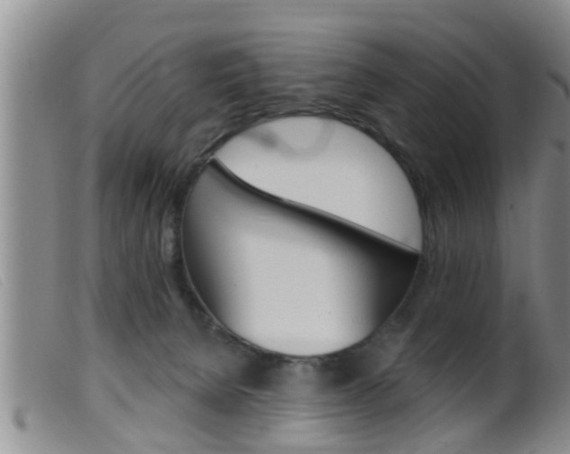 X0000099950080200805231012