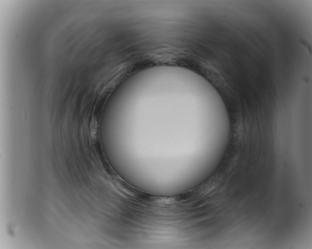 X0000099950081200805231012