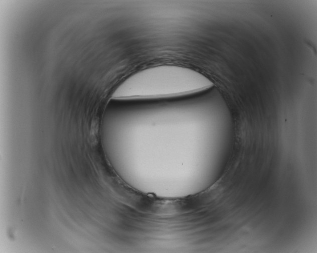 X0000099950082200805231012