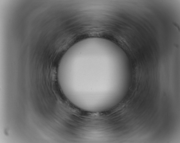 X0000099950083200805231012