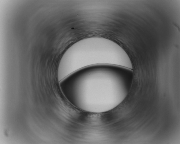 X0000099950084200805231012