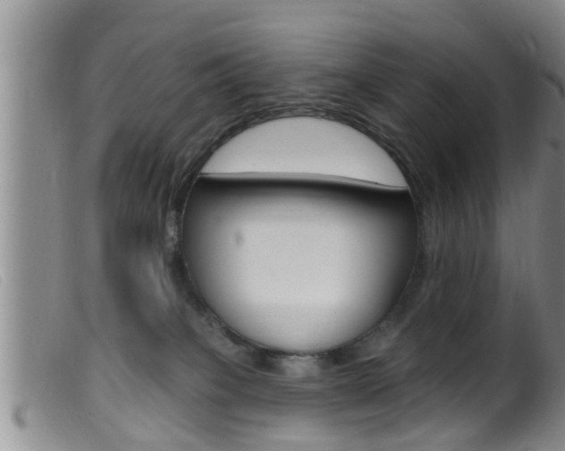X0000099950085200805231012