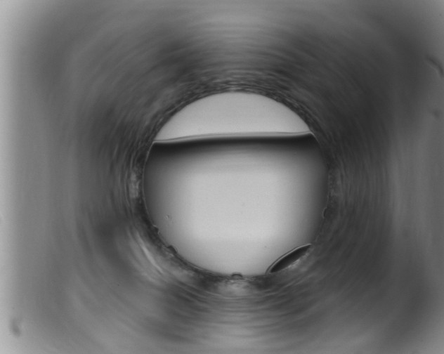 X0000099950086200805231012