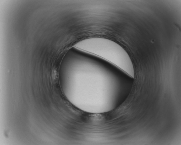 X0000099950087200805231012