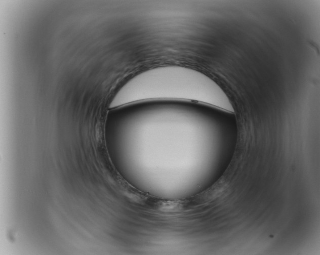 X0000099950088200805231012