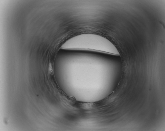 X0000099950089200805231012
