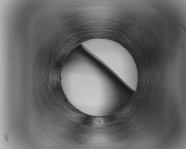 X0000099950091200805231012