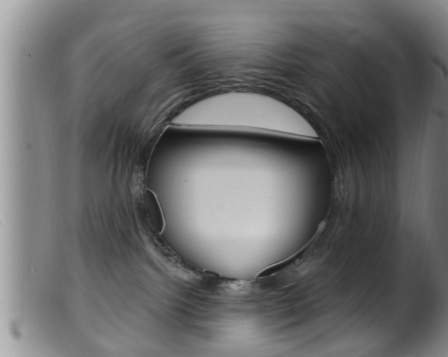 X0000099950092200805231012