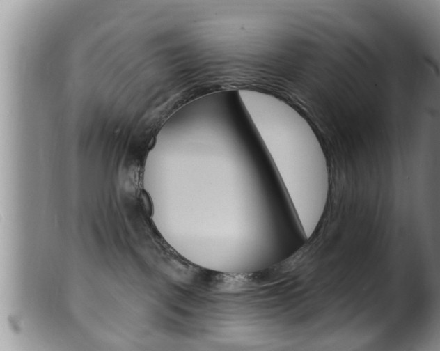X0000099950093200805231012