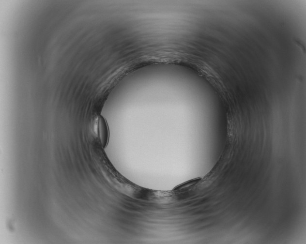 X0000099950095200805231012