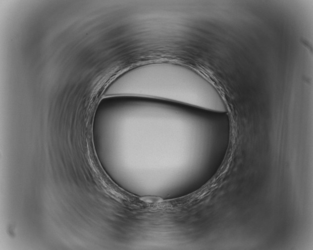 X0000099950097200805231012
