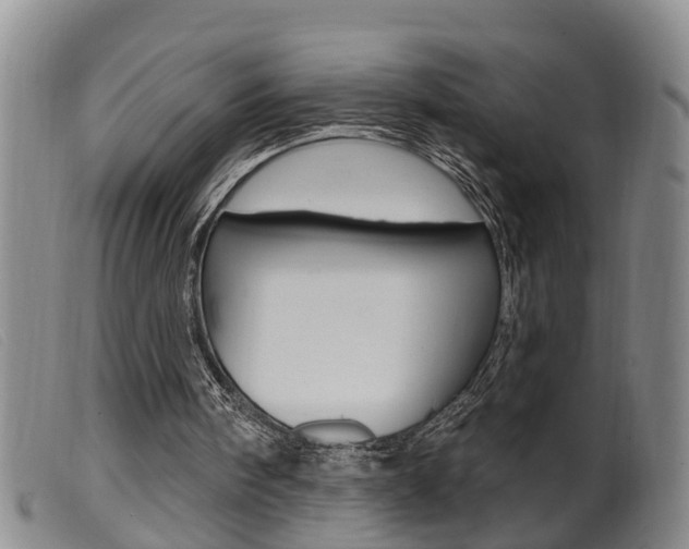 X0000099950098200805231012