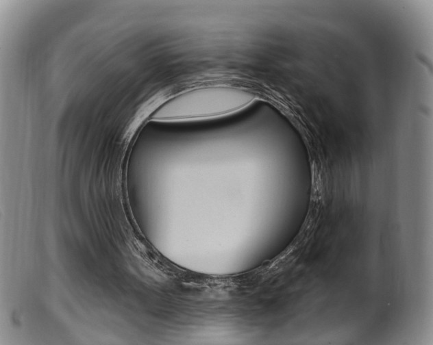 X0000099950099200805231012