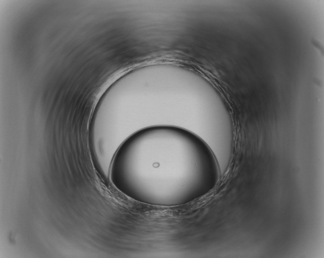 X0000099950100200805231012