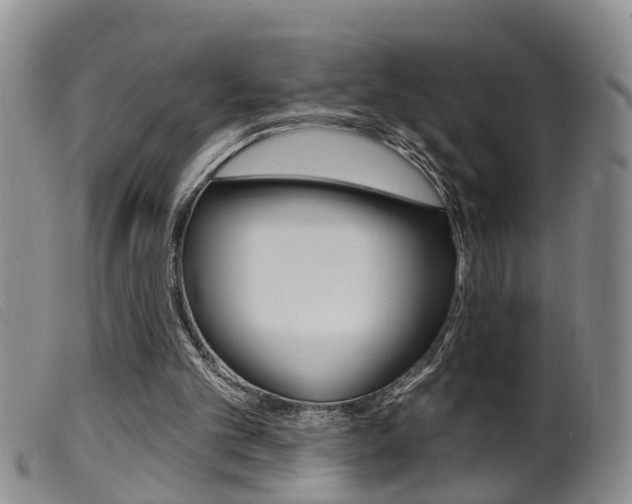 X0000099950101200805231012