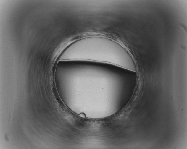 X0000099950103200805231012