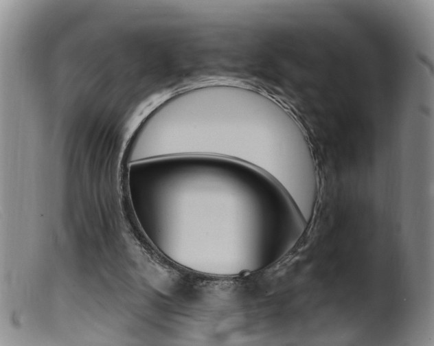 X0000099950104200805231012