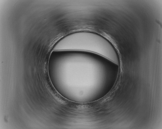 X0000099950105200805231012