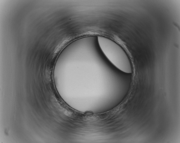 X0000099950106200805231011