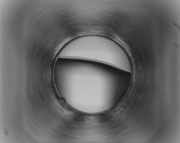 X0000099950107200805231011