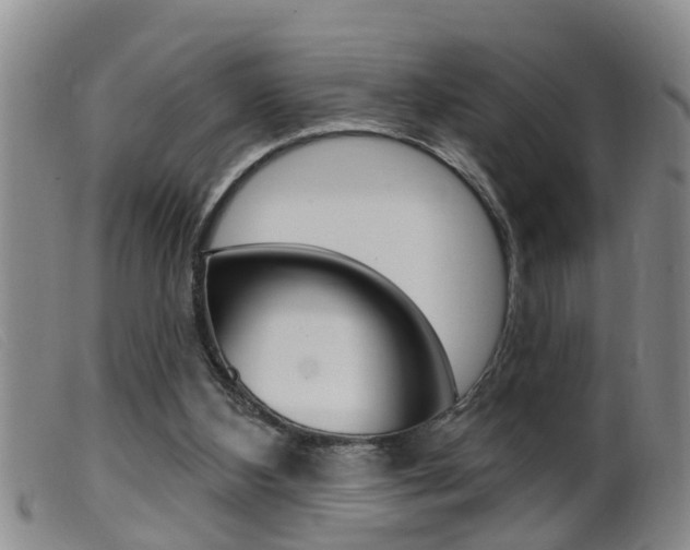 X0000099950108200805231011