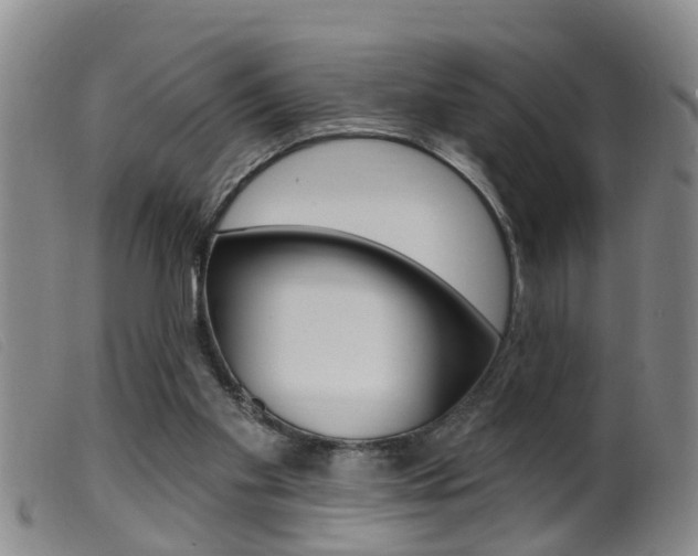 X0000099950109200805231011