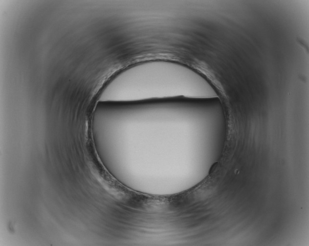 X0000099950110200805231011