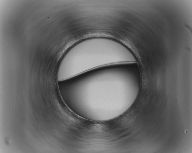 X0000099950111200805231011