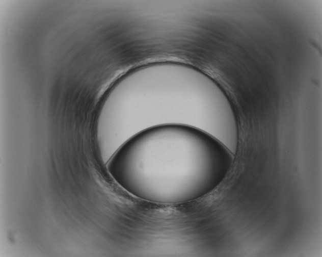 X0000099950112200805231011