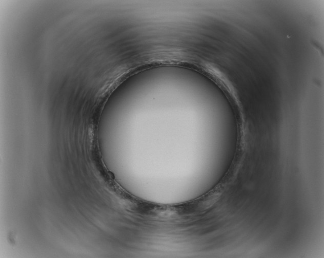 X0000099950113200805231011