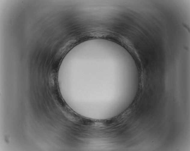 X0000099950114200805231011