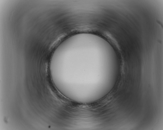 X0000099950115200805231011
