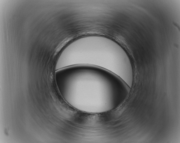 X0000099950116200805231011